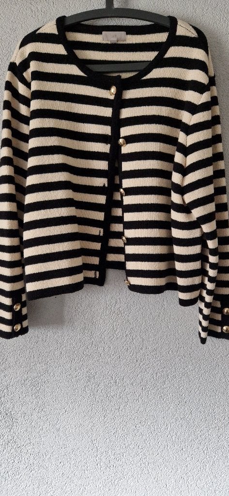 Nieuw prachtige knitted jasje Maat Xxl, H&M, Verzenden, Zwart, Maat 46/48 (XL) of groter