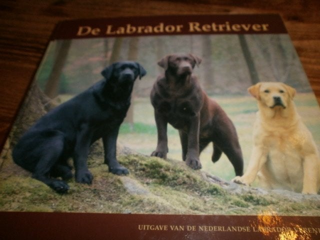 de labrador retriever mooi boek veel info over het ras fotos, Ophalen of Verzenden, Nieuw, Honden