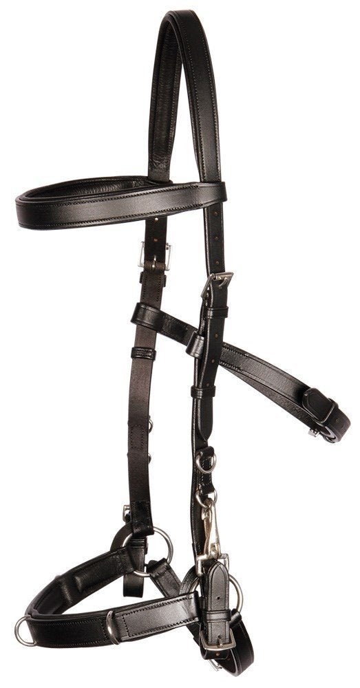 Harry's Horse Kaptoom hoofdstel Leder + Anatomic, Cob, Full, Dieren en Toebehoren, Hoofdstel, Harry's Horse, Verstelbaar, Nieuw