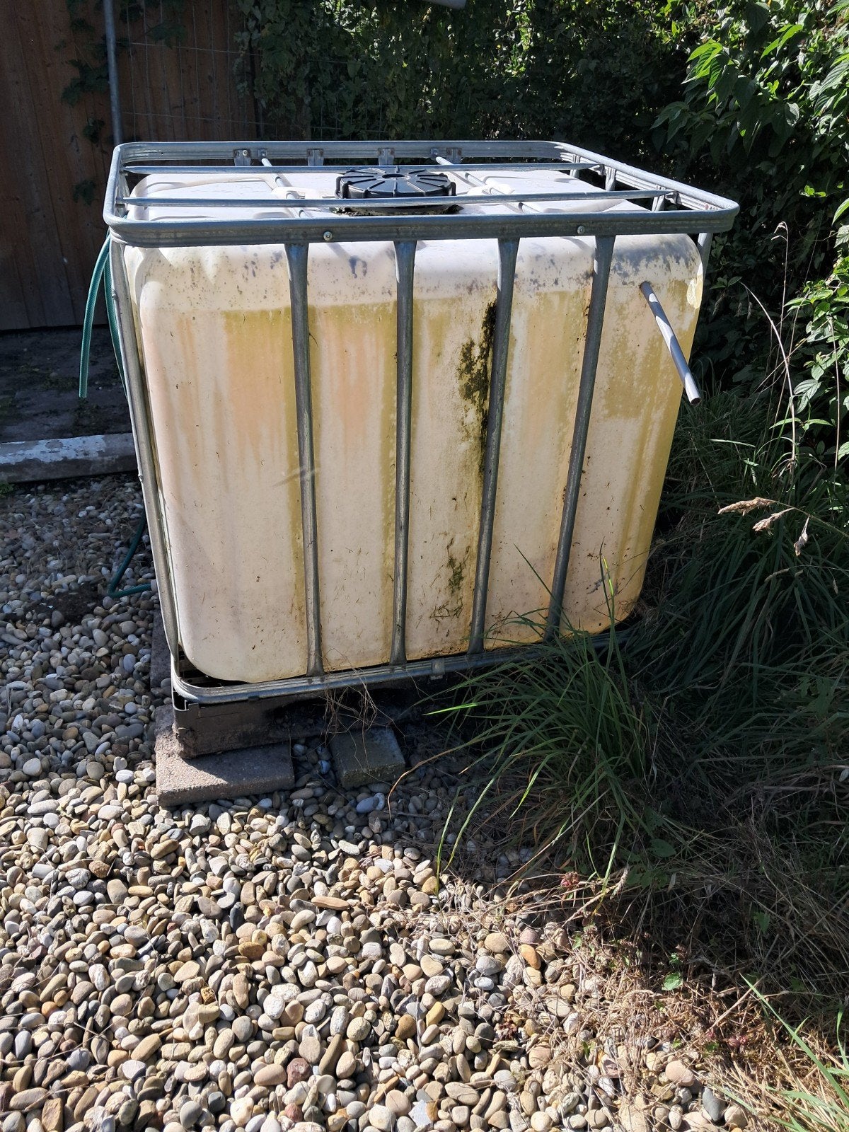 IBC-container 1000 liter met kraantje, Ophalen, Kunststof, Gebruikt, Met kraantje