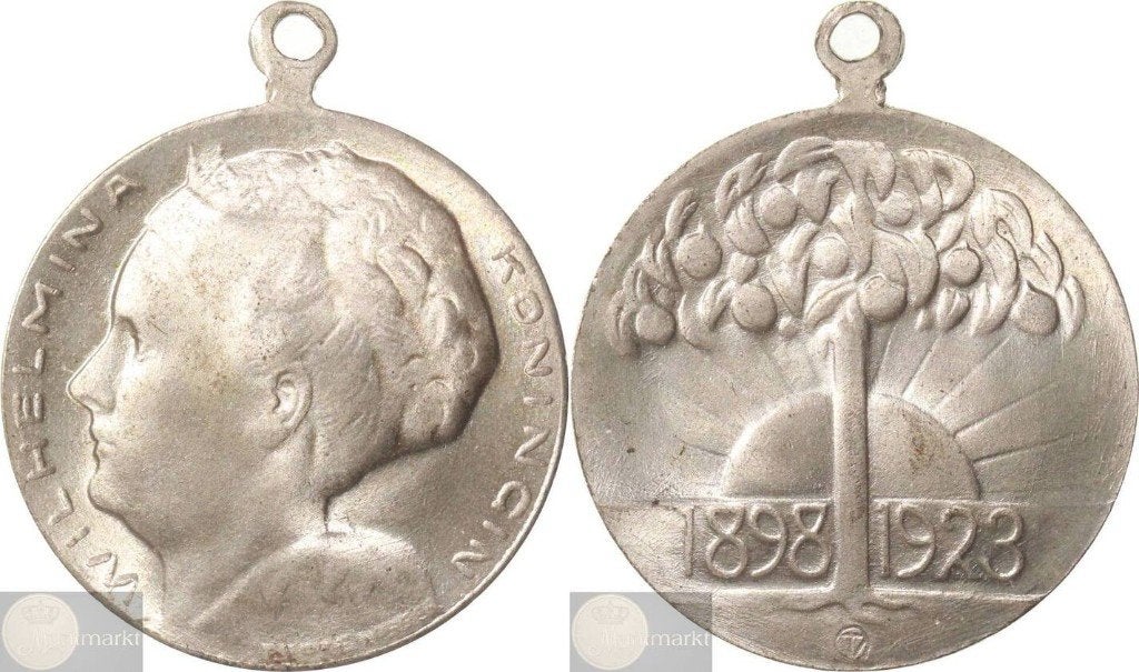 Draagpenning 1923 '25-Jarig Regeringsjubileum Wilhelmina', Postzegels en Munten, Ophalen of Verzenden, Overige materialen, Nederland