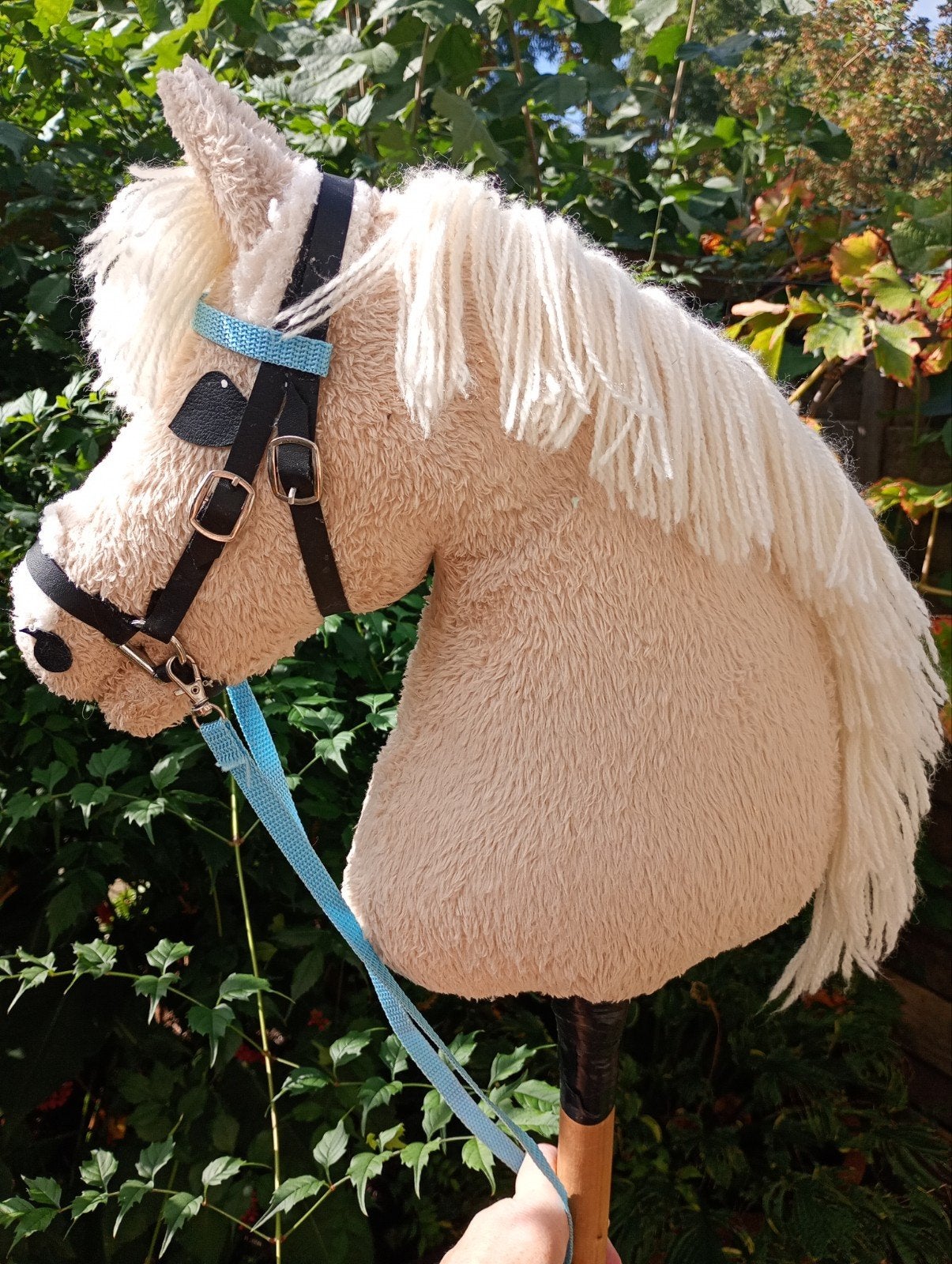 lieve en mooie hobbyhorse, Ophalen of Verzenden, Jongen of Meisje