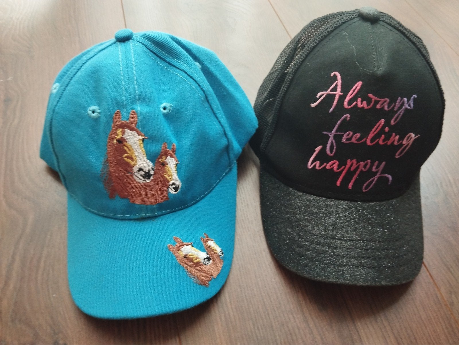 Twee petten, Ophalen of Verzenden, Gedragen, One size fits all, Pet