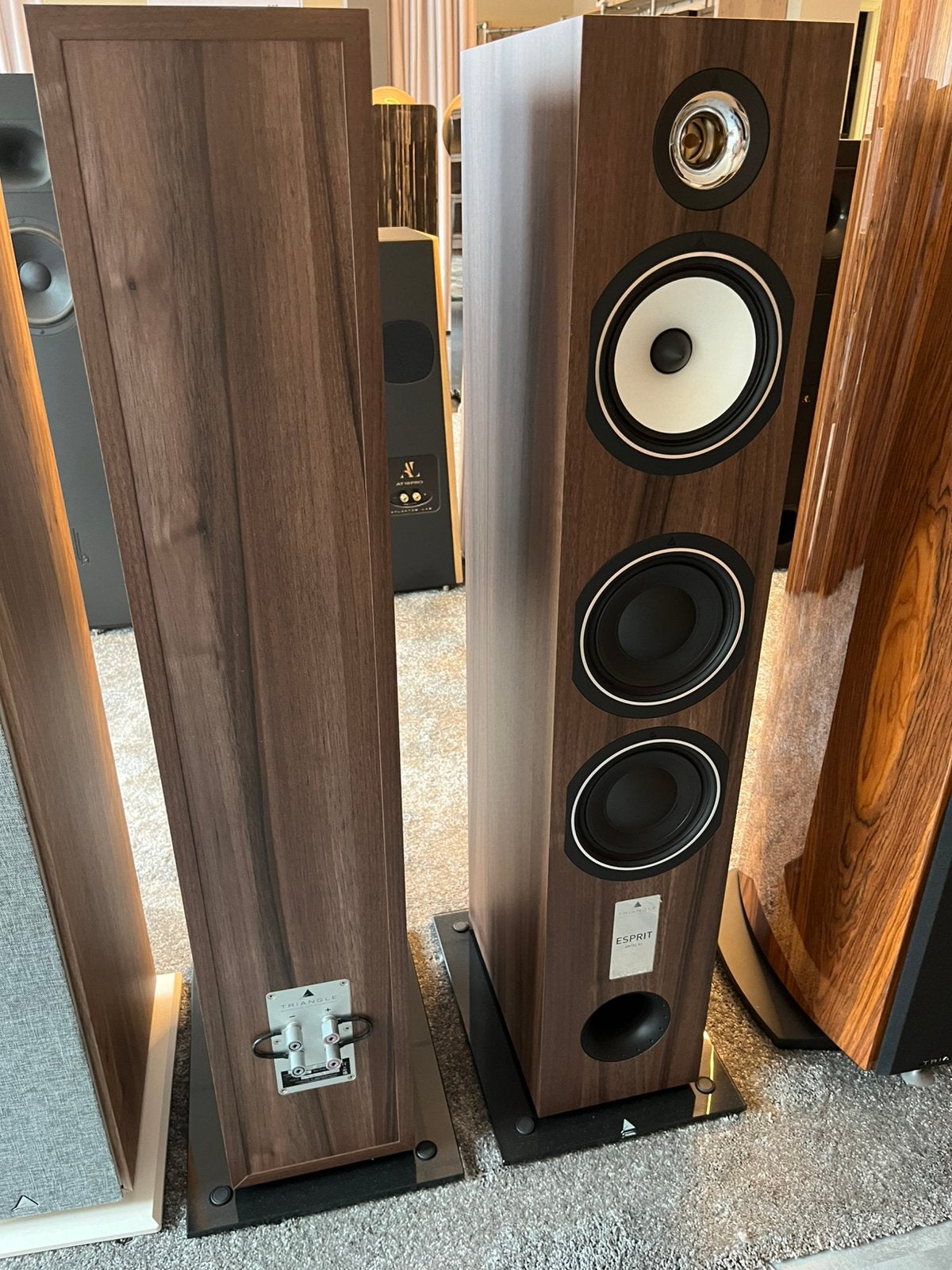 Triangle Esprit Antal Ez (Winkel leegverkoop), Triangle, Subwoofer, Nieuw, @