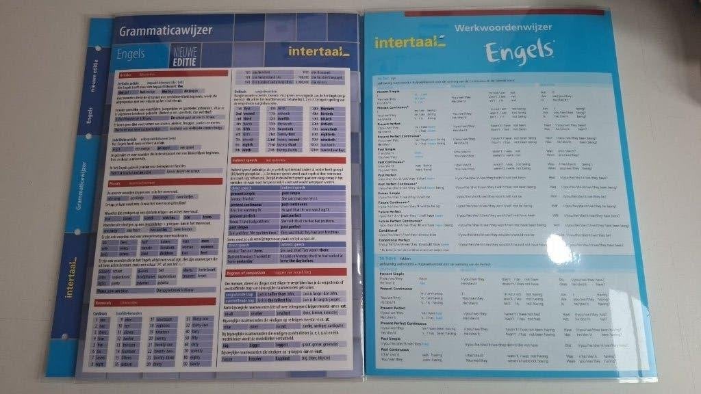 Engels grammatica en werkwoordwijzer, Niet van toepassing, Ophalen of Verzenden, Zo goed als nieuw, Intertaal