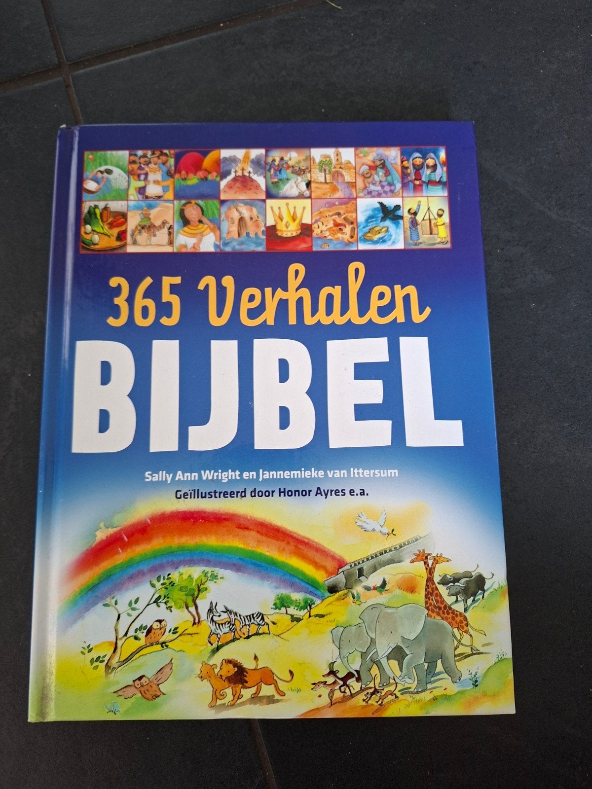 365 Verhalen Bijbel voor kinderen, Ophalen, Zo goed als nieuw, Sally Ann Wright en Jannemieke van Ittersum, Christendom | Katholiek
