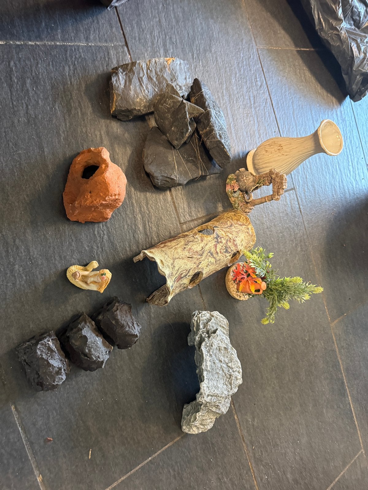 Granalen, algeneters en bodemvissen decoratie, Ophalen of Verzenden, Plant(en), Steen of Hout