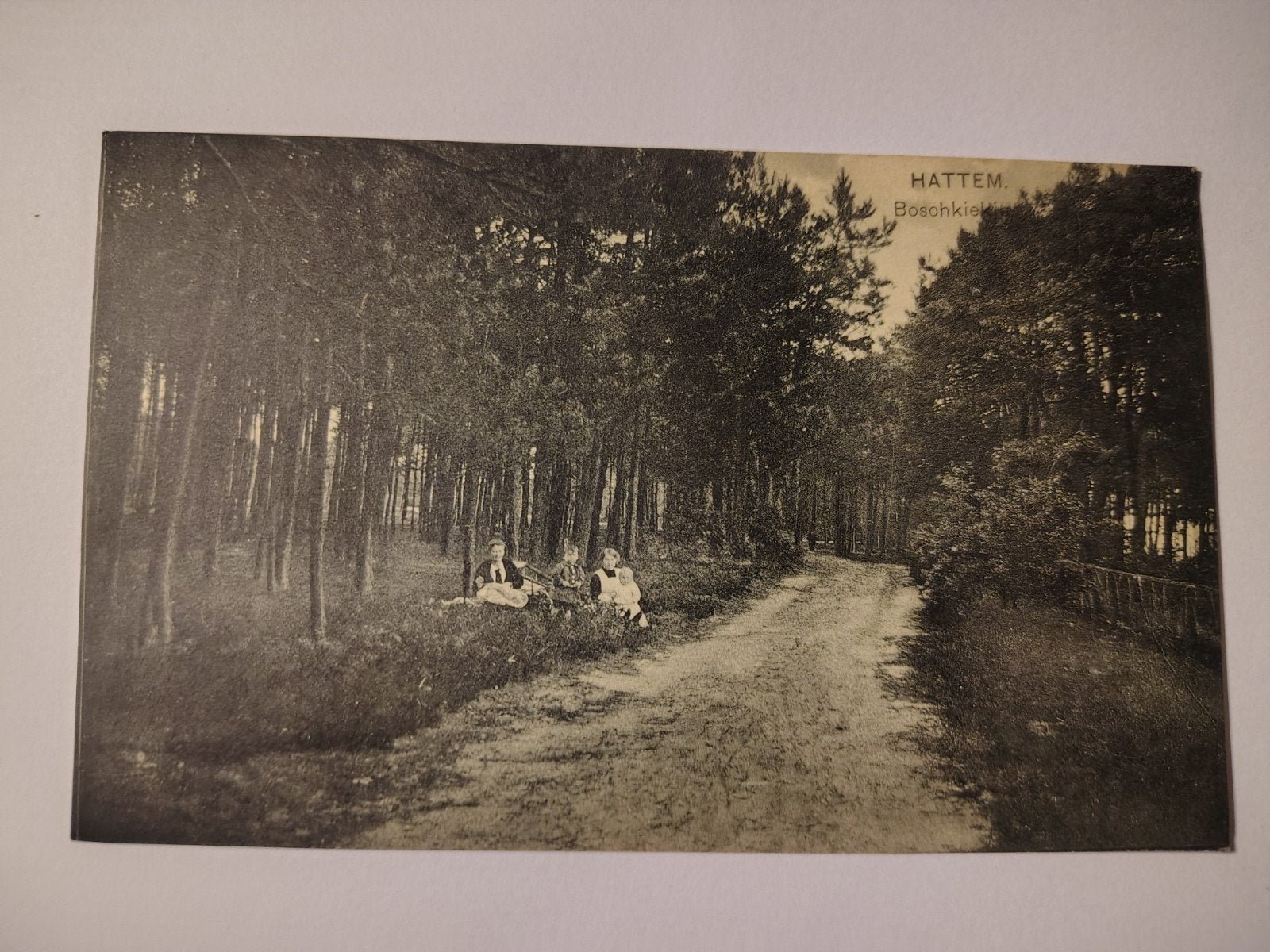 Hattem Boschkiekje, Ophalen of Verzenden, Gelderland
