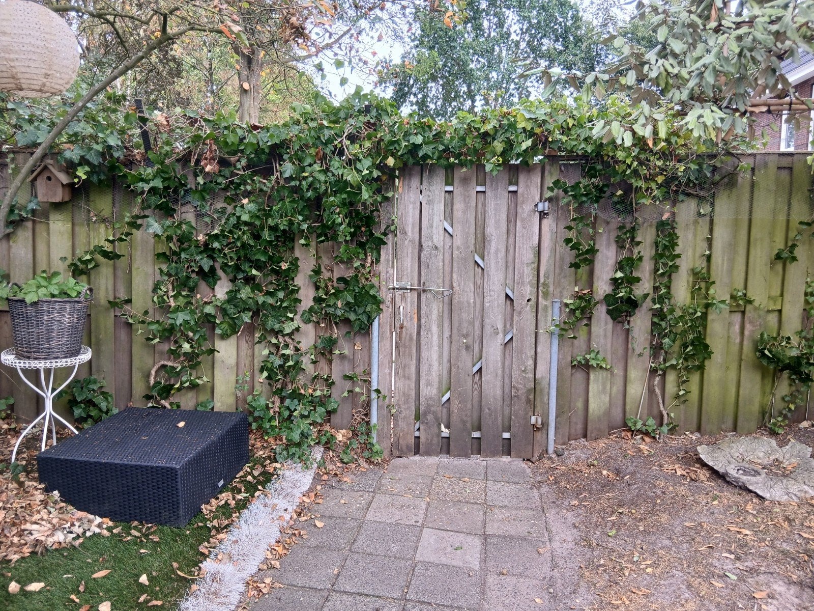 GRATIS Houten schutting met poort, Ophalen, Met poort, Gebruikt, Tuinhek