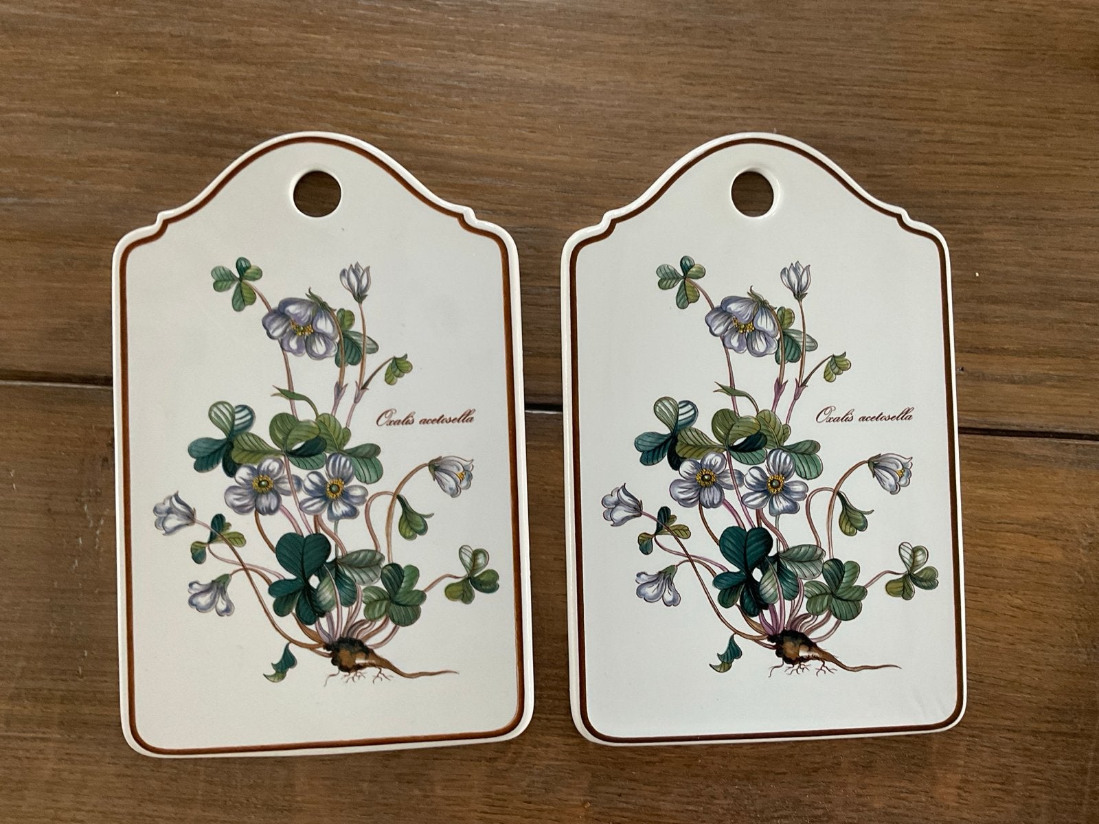 2 stuks: Botanische onderzetters/wanddecoratie - Ossenklaver, Ophalen of Verzenden