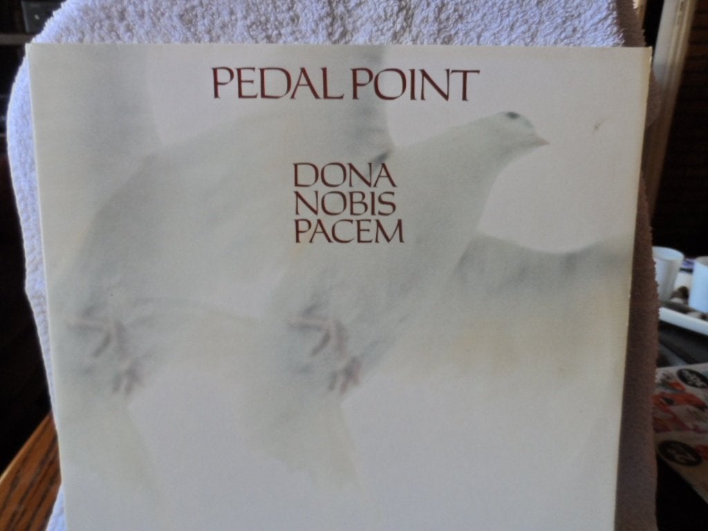 DB LP Pedal Point, Ophalen of Verzenden, LP