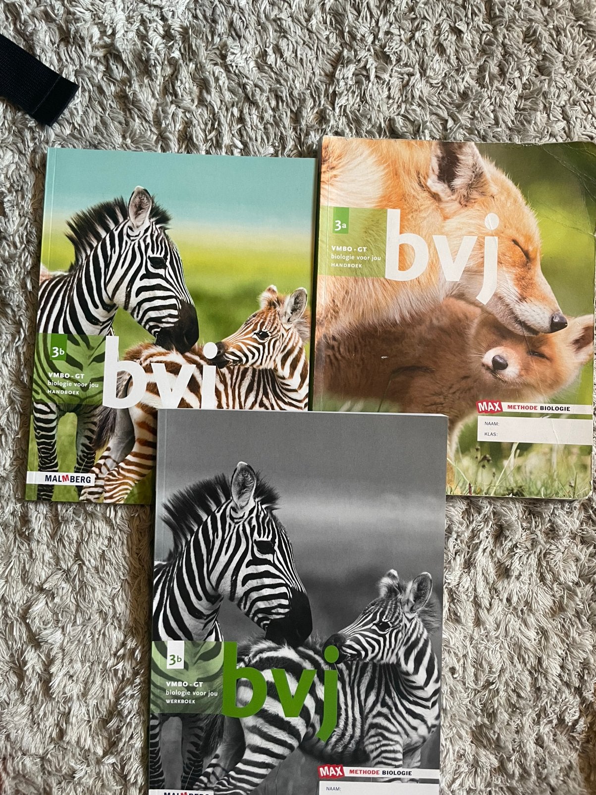 Bvj vmbo wb+hb, Ophalen, Zo goed als nieuw, Overige niveaus, Nederlands