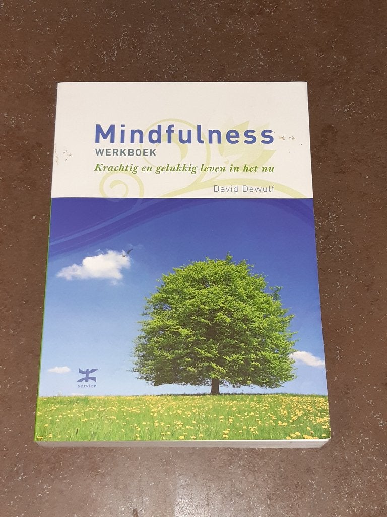 Mindfulness werkboek D. Dewulf, Ophalen of Verzenden, Zo goed als nieuw, Meditatie of Yoga, Instructieboek