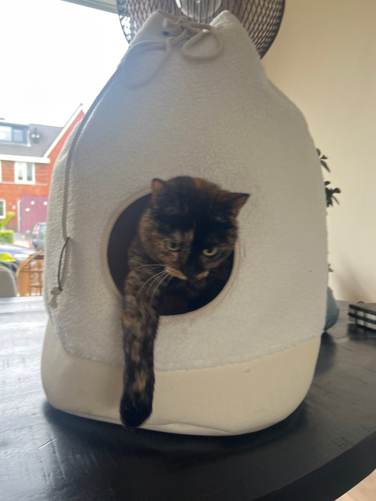 Kattenmand, Ophalen