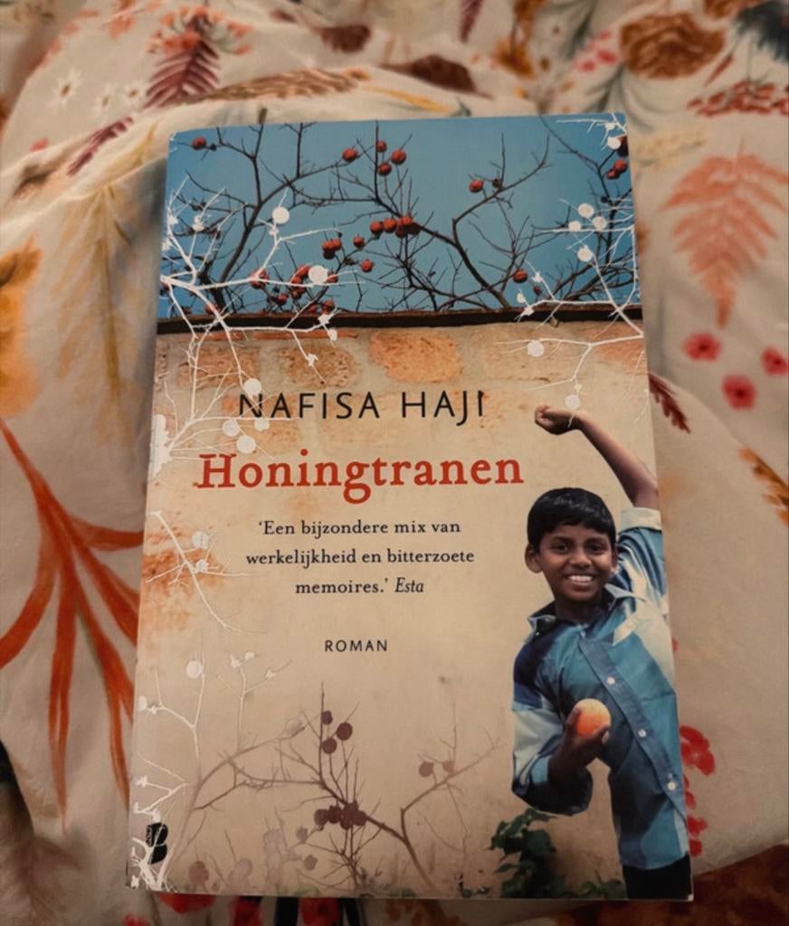 Honingtranen - Nafisa Haji (Roman), Ophalen of Verzenden, Gelezen, Amerika