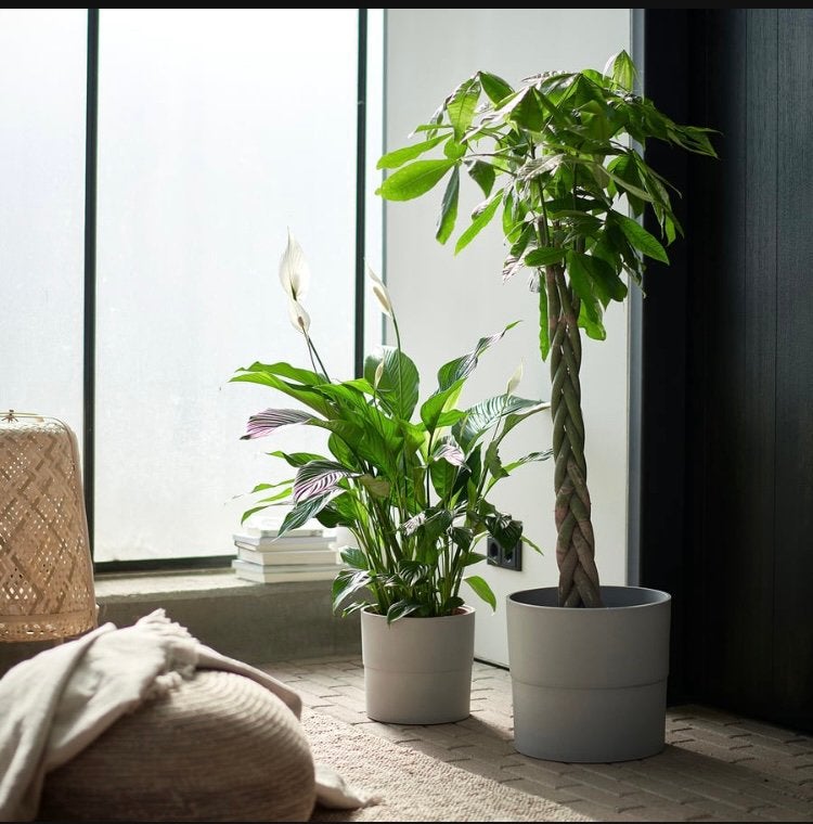 *TIP!* 2x grote grijze NYPON plantenpot 32cm, 25 tot 40 cm, Kunststof, Rond, Ophalen of Verzenden