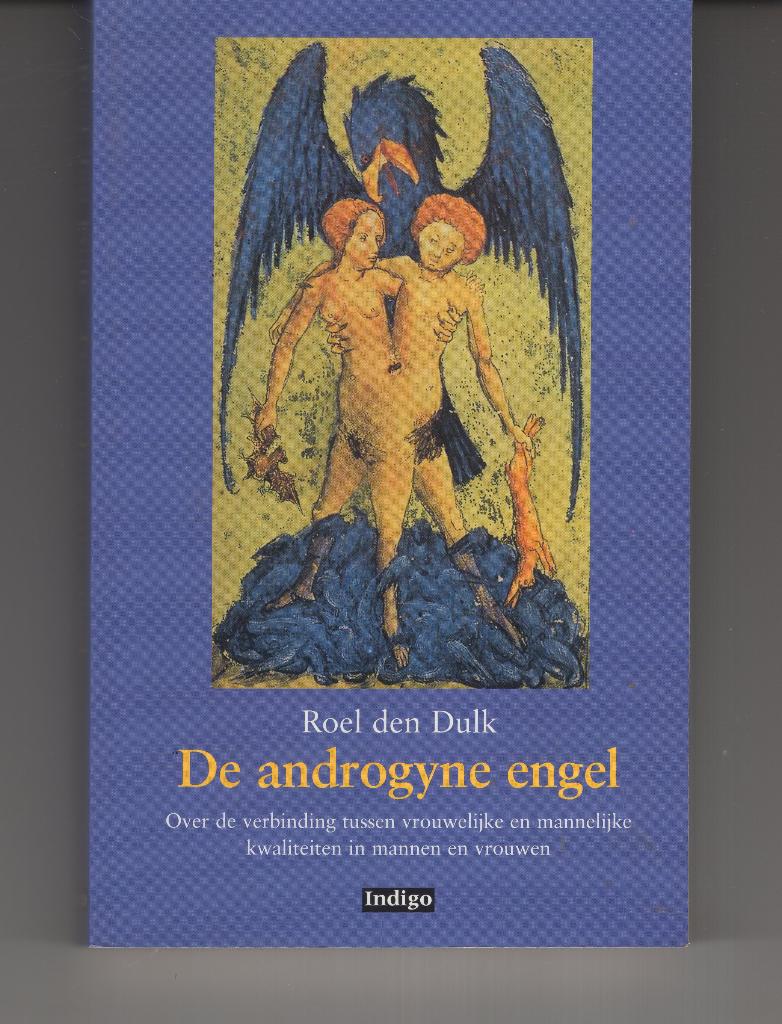 De androgyne engel Roel den Dulk, Boeken, Esoterie en Spiritualiteit, Ophalen of Verzenden, Zo goed als nieuw, Spiritualiteit algemeen