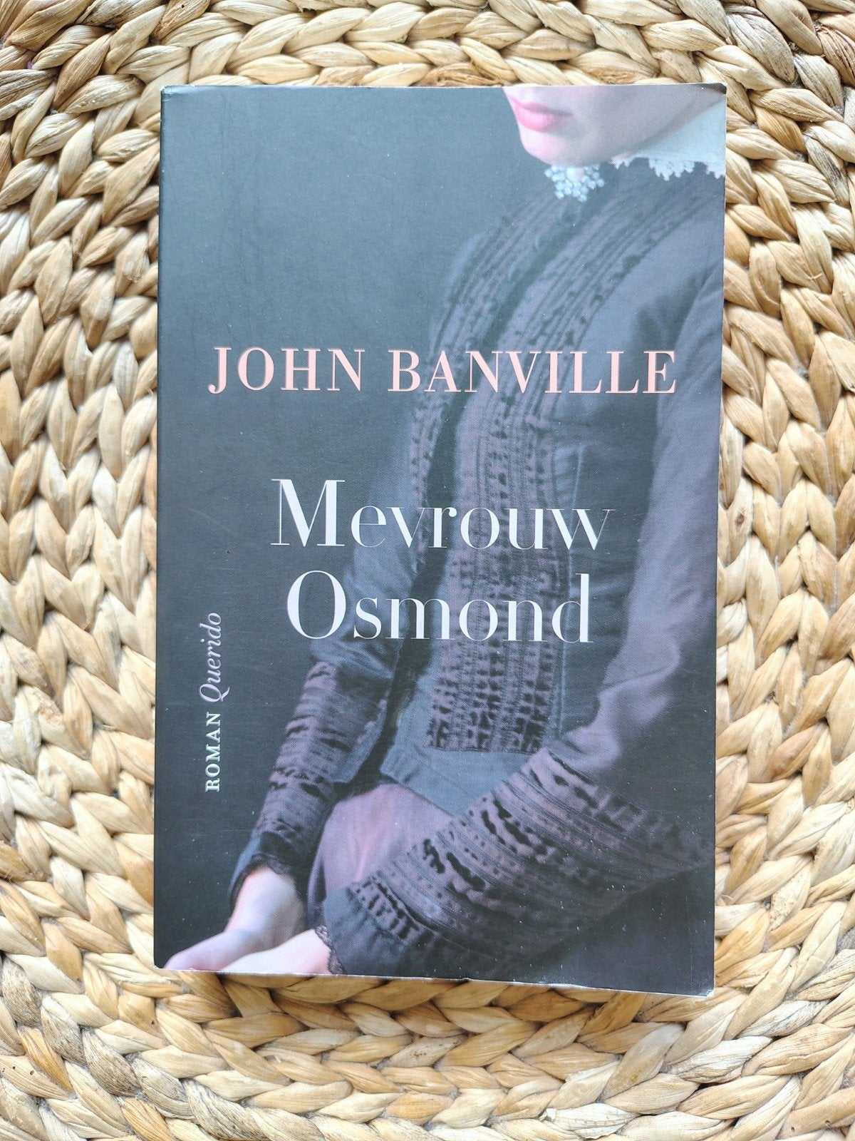 John Banville - Mevrouw Osmond, Boeken, Ophalen of Verzenden, Zo goed als nieuw