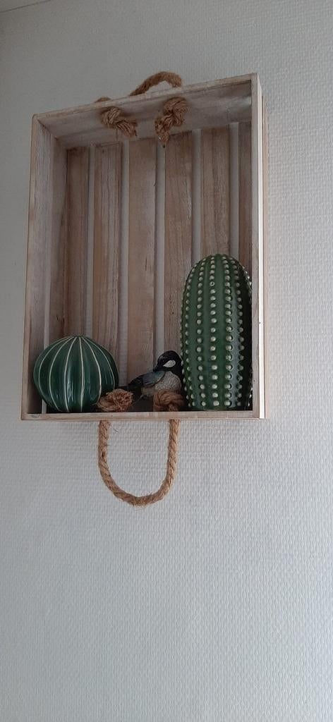 Houten kratje met touw met cactussen contante betaling, Ophalen