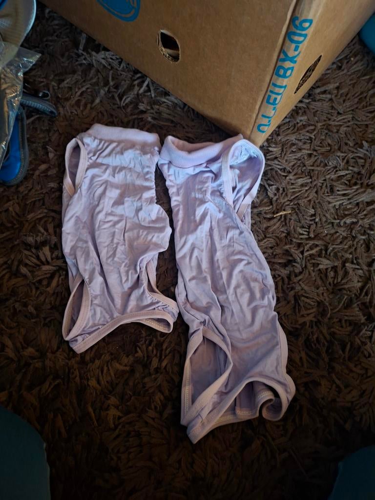 Honden kleding, Kleding | Heren, Ondergoed, Ophalen of Verzenden, Paars, Slip