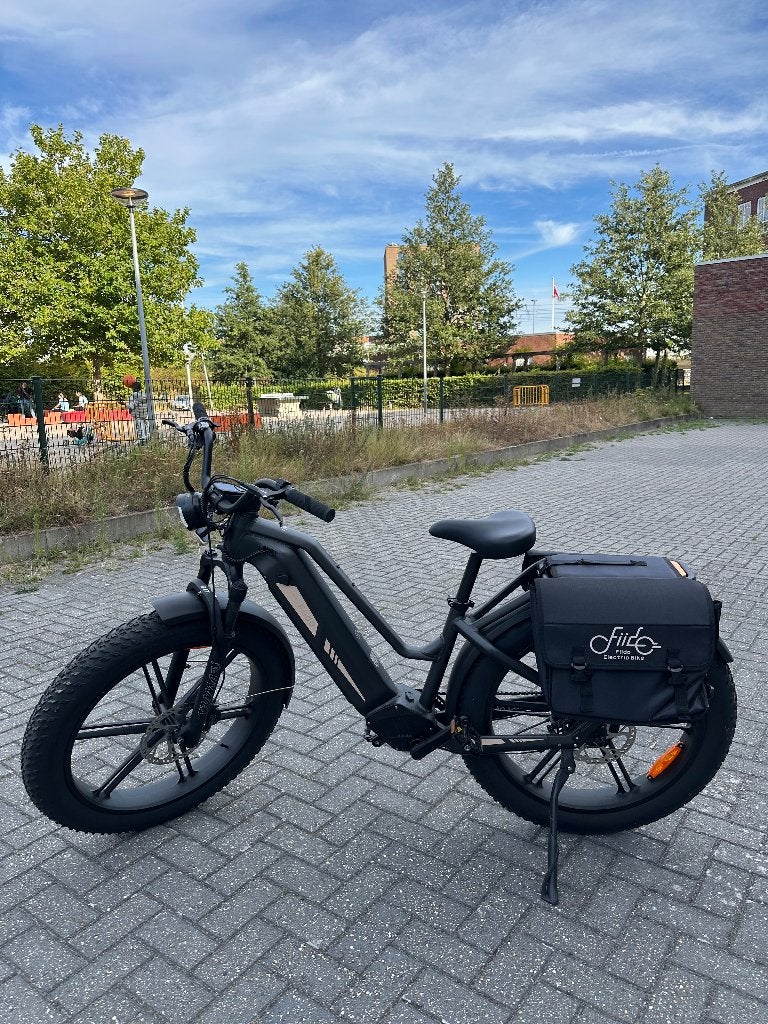 Fiido Titan, Zo goed als nieuw, 59 cm of meer, 50 km per accu of meer, Ophalen