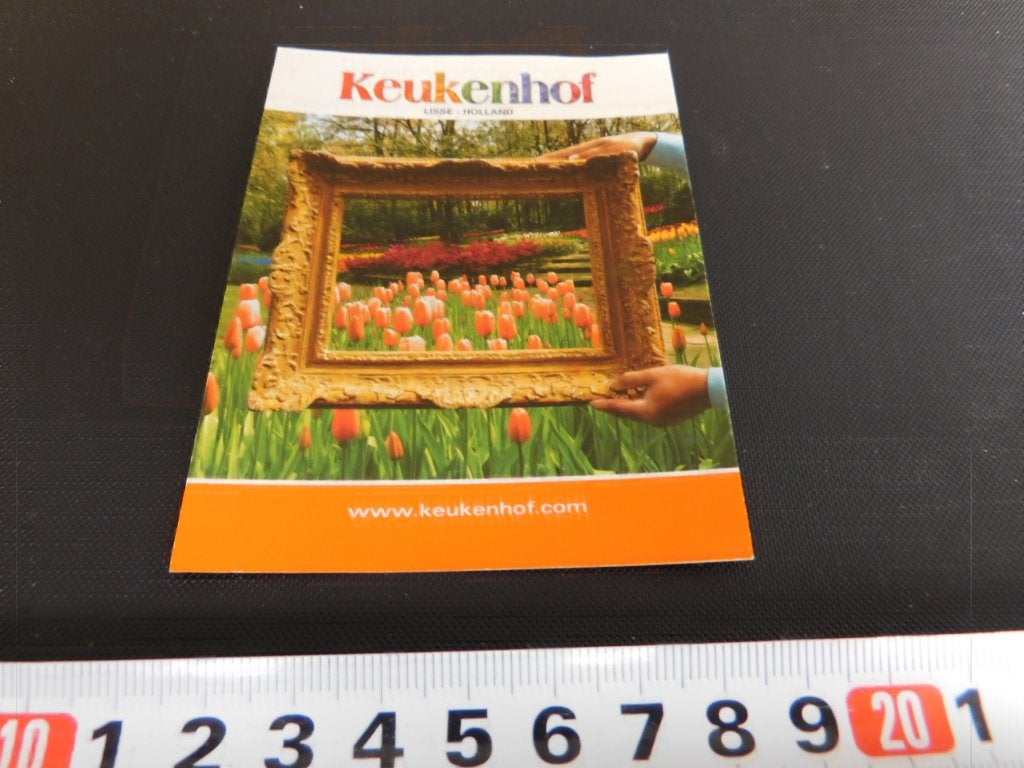 sticker keukenhof lisse foto lijst tulpen *, Ophalen, Zo goed als nieuw