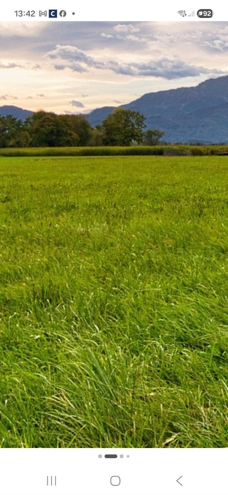 gezocht weiland huur of koop