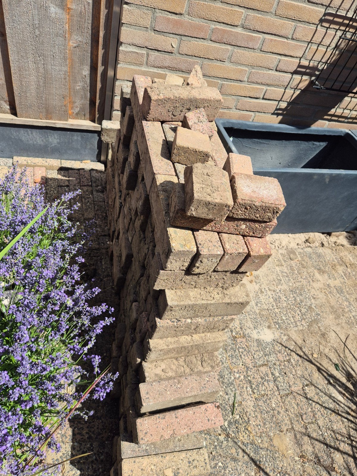 GRATIS gebruikte bakstenen voor tuin of project, Doe-het-zelf en Verbouw, Metselstenen, Ophalen, Gebruikt, Bakstenen