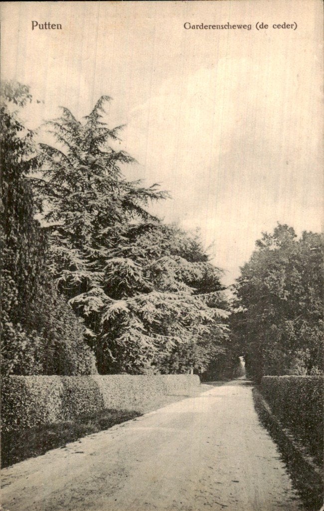 Putten - Garderenscheweg - de ceder, Ophalen of Verzenden, Voor 1920, Gelopen, Gelderland