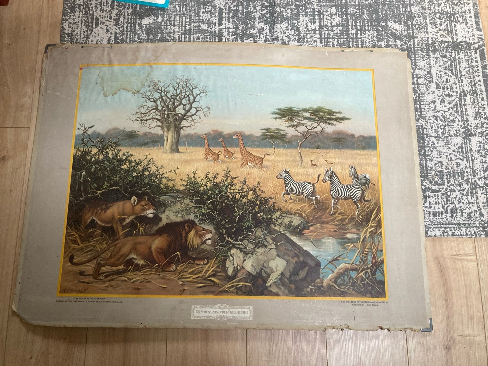 Beschadigde Vintage Schoolplaat: Afrikaanse Dieren, Antiek en Kunst, Antiek | Schoolplaten, Ophalen, Natuur en Biologie