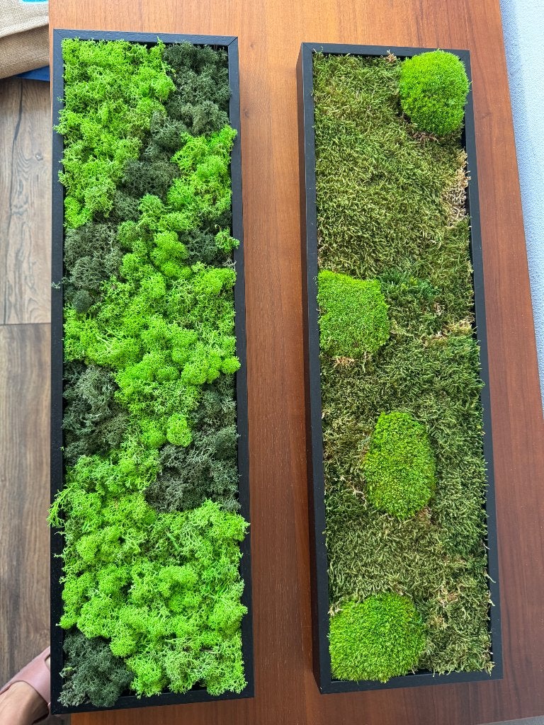 Set of 2 Moss Art Frames / Preserved Moss Wall Panels, Ophalen of Verzenden, Rechthoekig