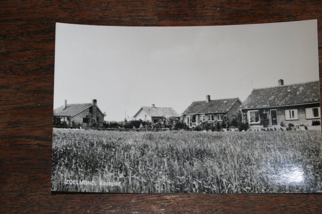 Zoelmond Kochpad, Ophalen of Verzenden