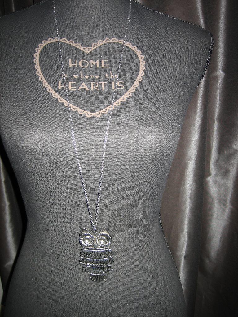 Nieuw zilverkleurige ketting met uil zilver kleur hanger, Ophalen of Verzenden, Nieuw, Zilver, Overige materialen