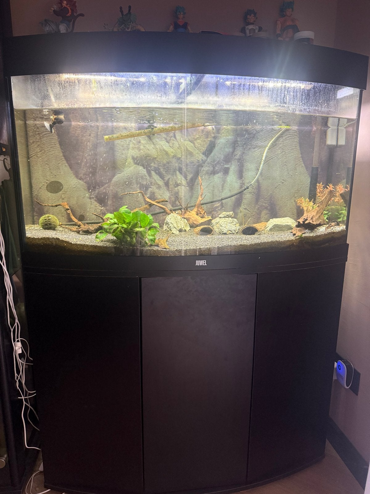 Juwel aquarium met tobehoren set, Ophalen, Leeg aquarium