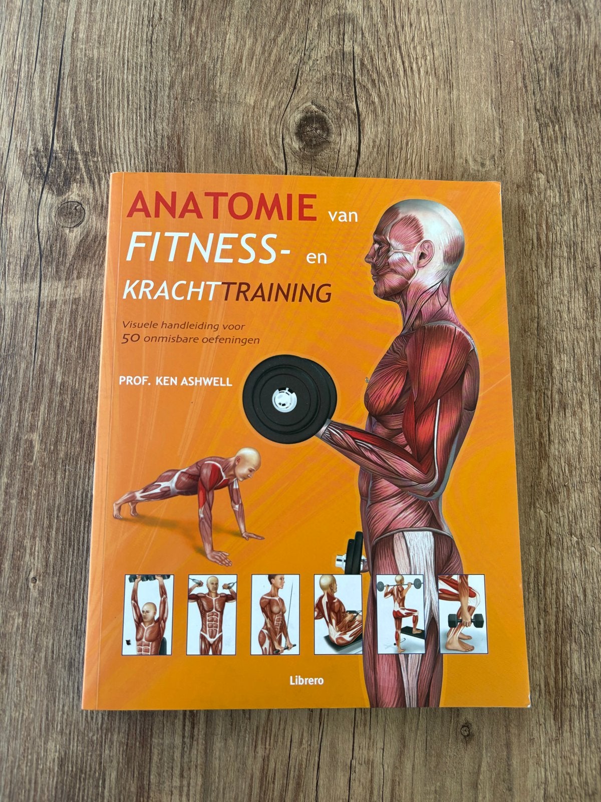 Anatomie van Fitness- en Krachttraining - Ken Ashwell, Ophalen of Verzenden, Zo goed als nieuw, Gezondheid en Conditie