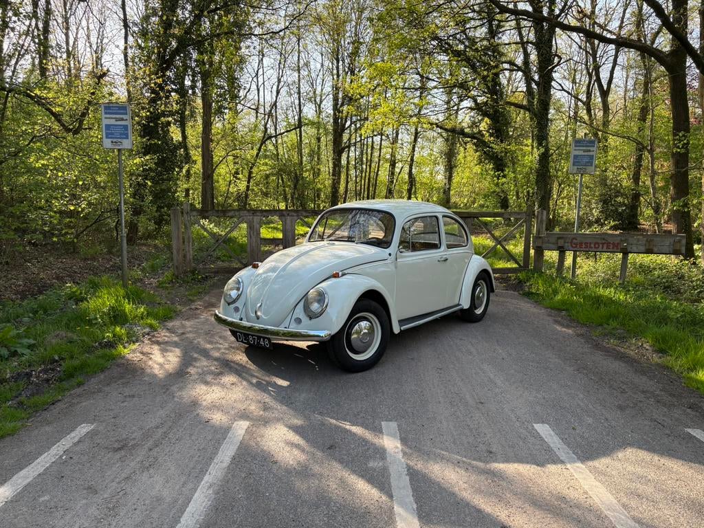 Volkswagen kever 1967, Achterwielaandrijving, Volkswagen, Overige kleuren, 44 pk