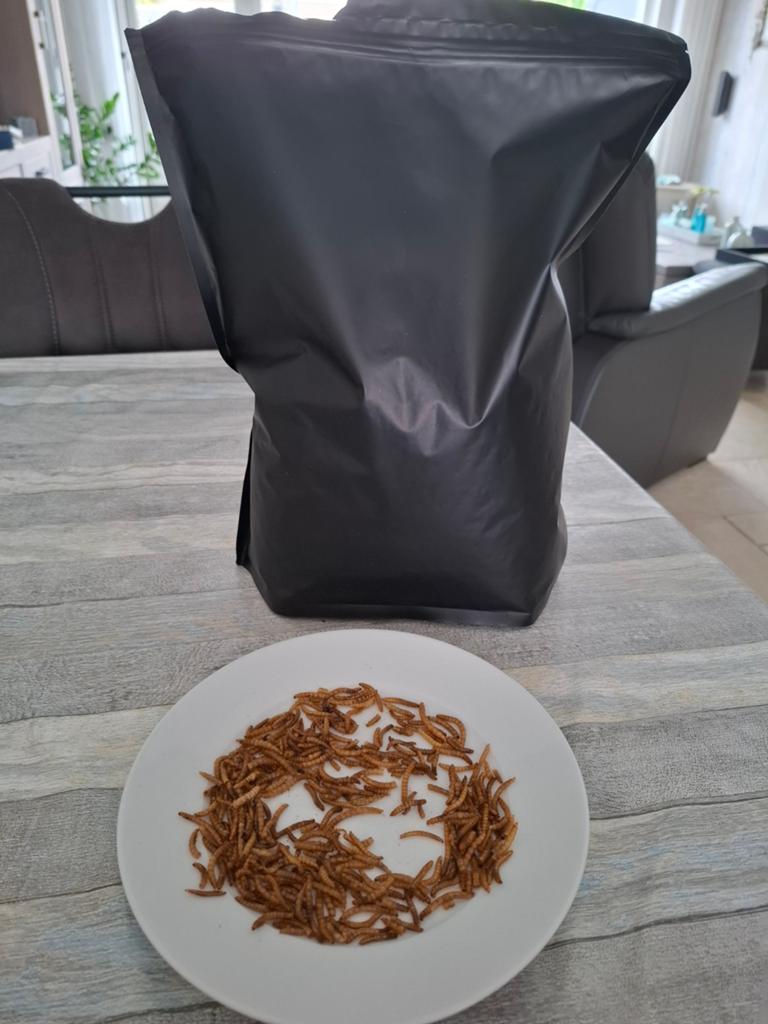 Meelwormen, Ophalen of Verzenden, Nieuw, Overige typen