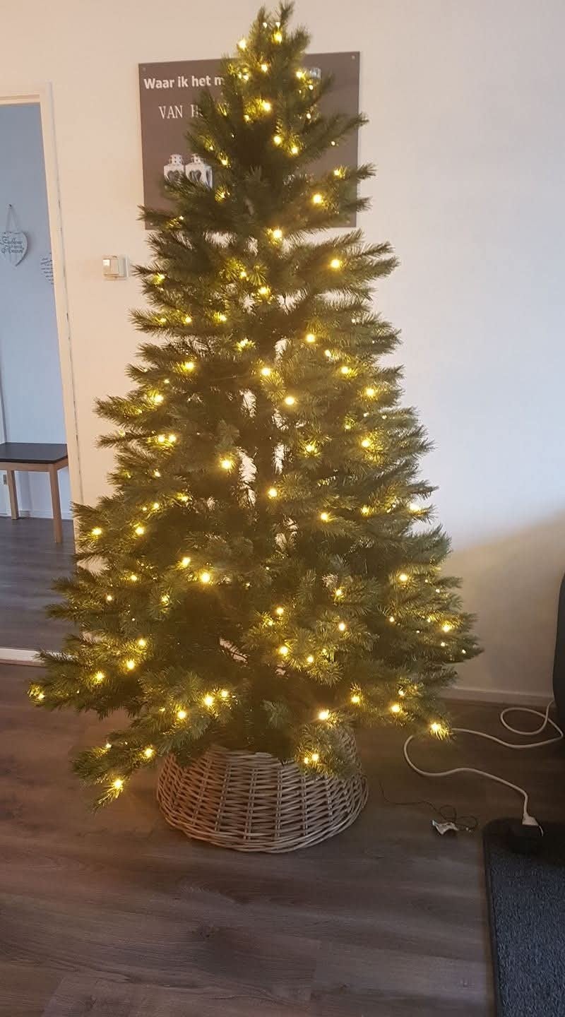 blackbox kerstboom, Diversen, Kerst, Ophalen, Gebruikt