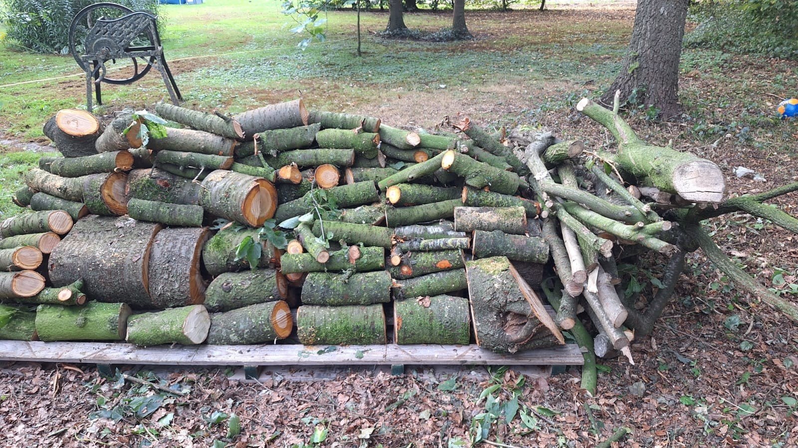 Diverse stookhout: blokken, stammen en takken, Tuin en Terras, Haardhout, Minder dan 3 m³, Ophalen, Overige houtsoorten, Blokken