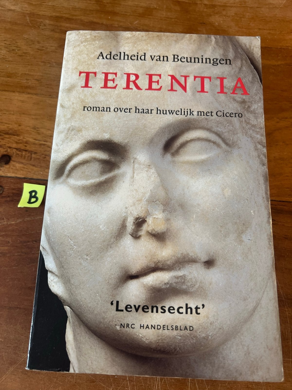 Terentia: Roman over haar huwelijk met Cicero