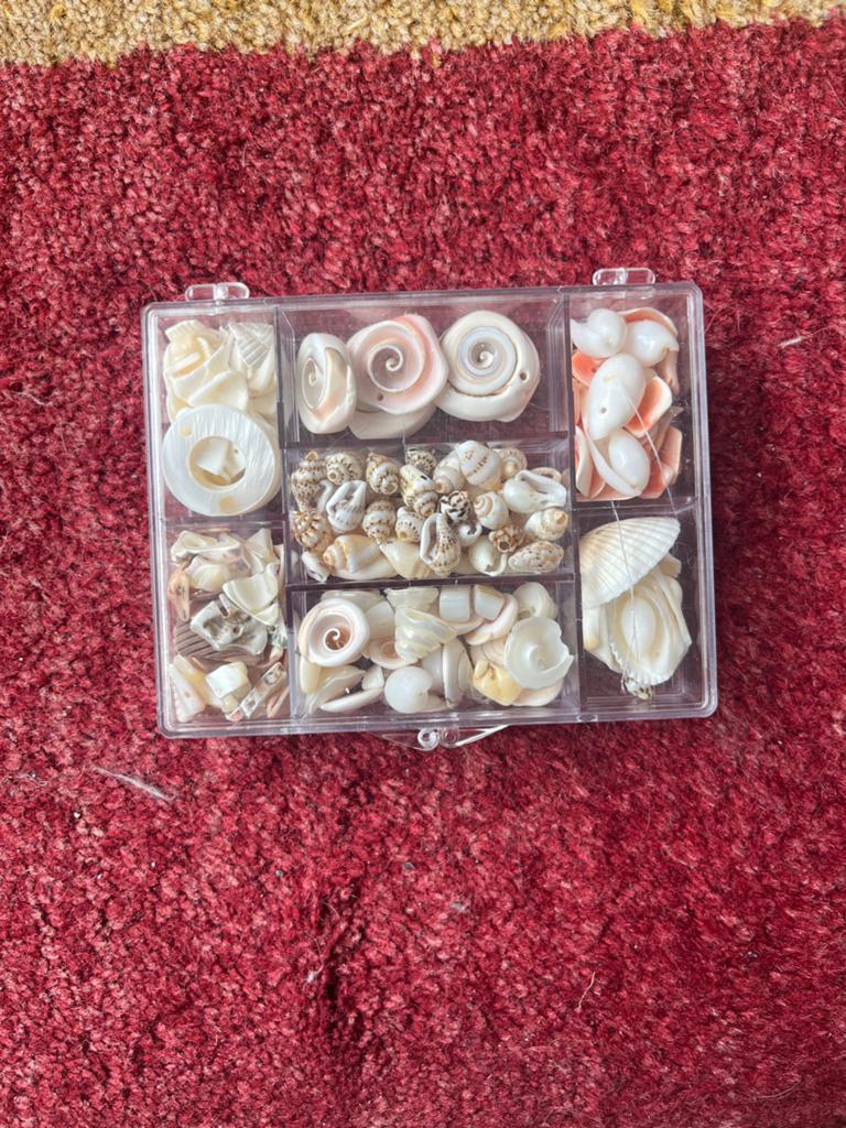 Diverse Schelpen Kralen Collectie voor Sieraden Maken, Ophalen, Nieuw, Kraal