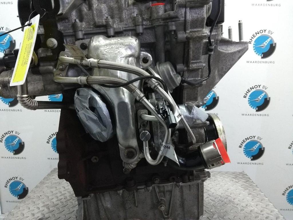 FORD FIESTA ACTIVE TURBO 2020, Ophalen of Verzenden, Gebruikt, Stiba lid