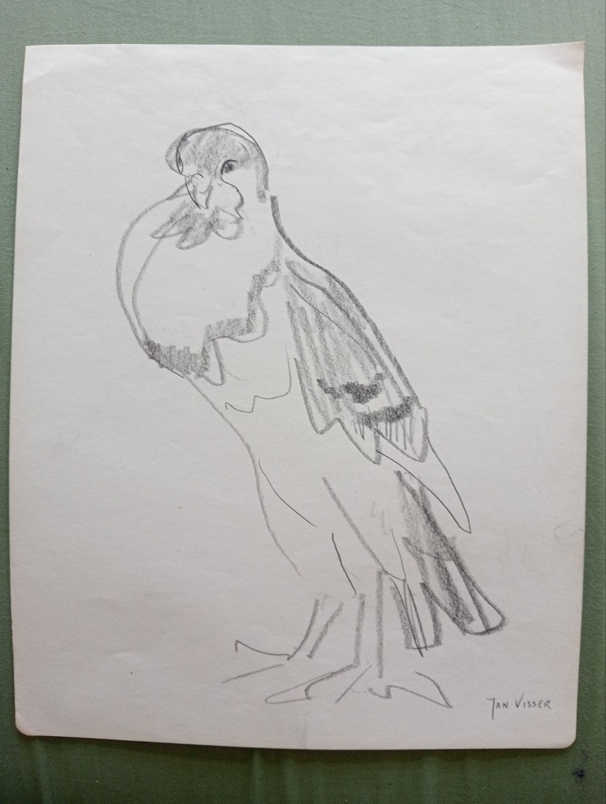 Jan Visser tekening vogel jaren 40-50, Antiek en Kunst, Kunst | Tekeningen en Foto's, Ophalen of Verzenden