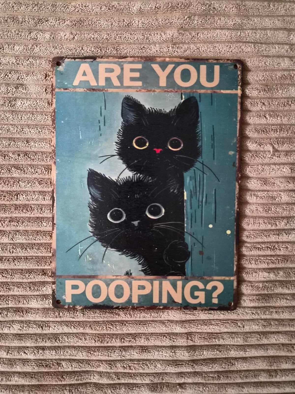 Grappig houten bord met katten - "Are you pooping?", Meerkleurig, Nieuw, Ophalen of Verzenden, Vintage