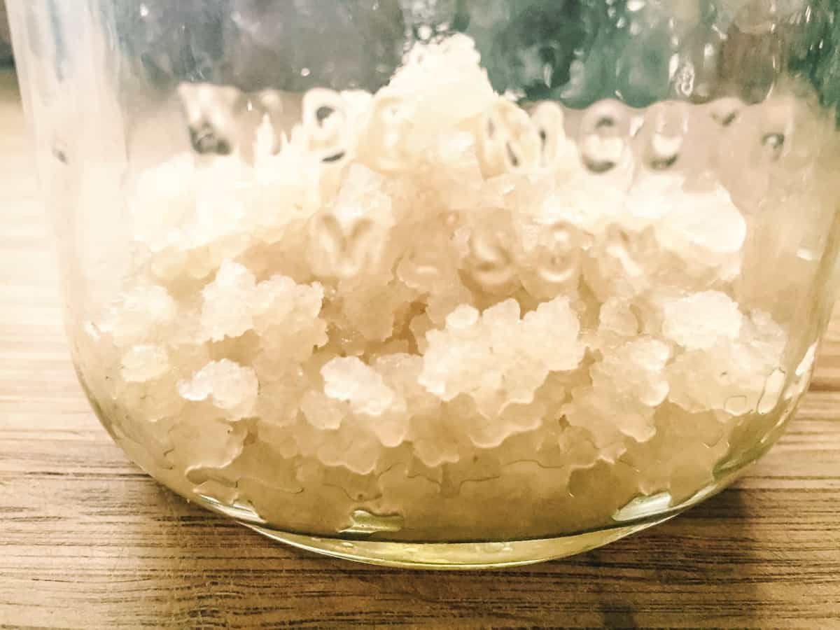 Waterkefir korrels, Ophalen
