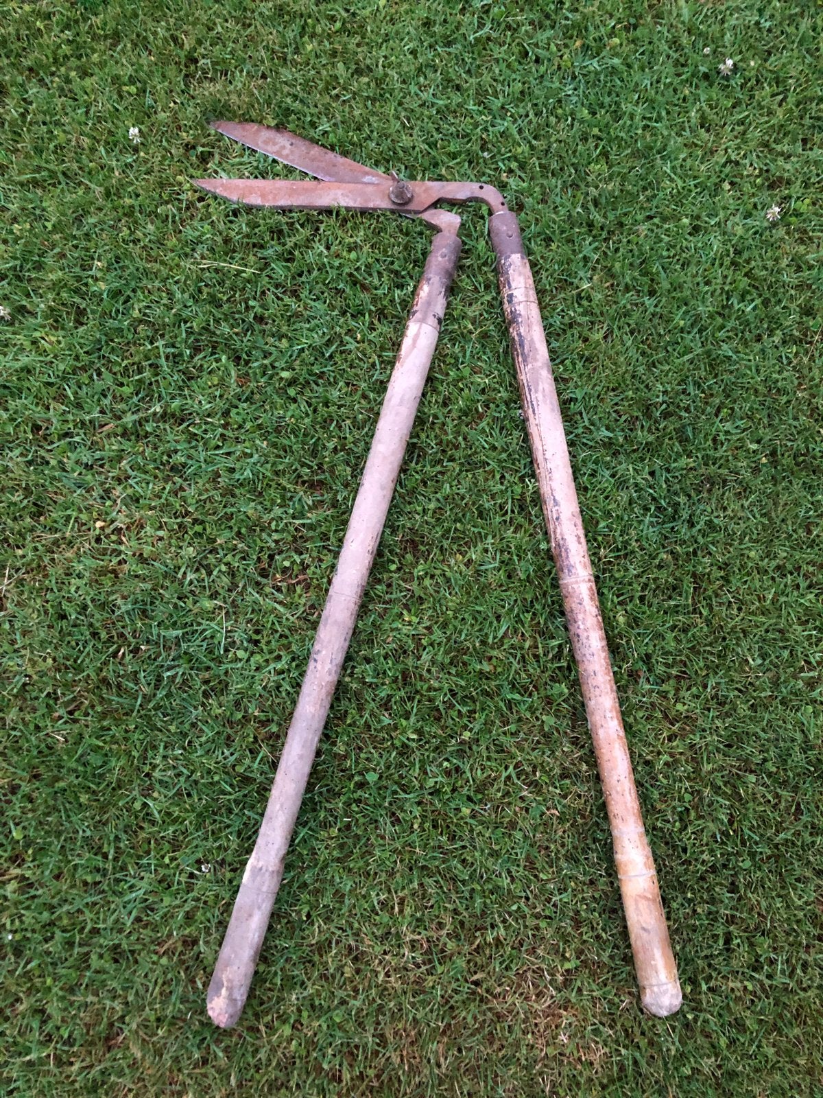Heggeschaar 90 cm snoeischaar stok vintage, Ophalen of Verzenden, Gebruikt, Handmatig