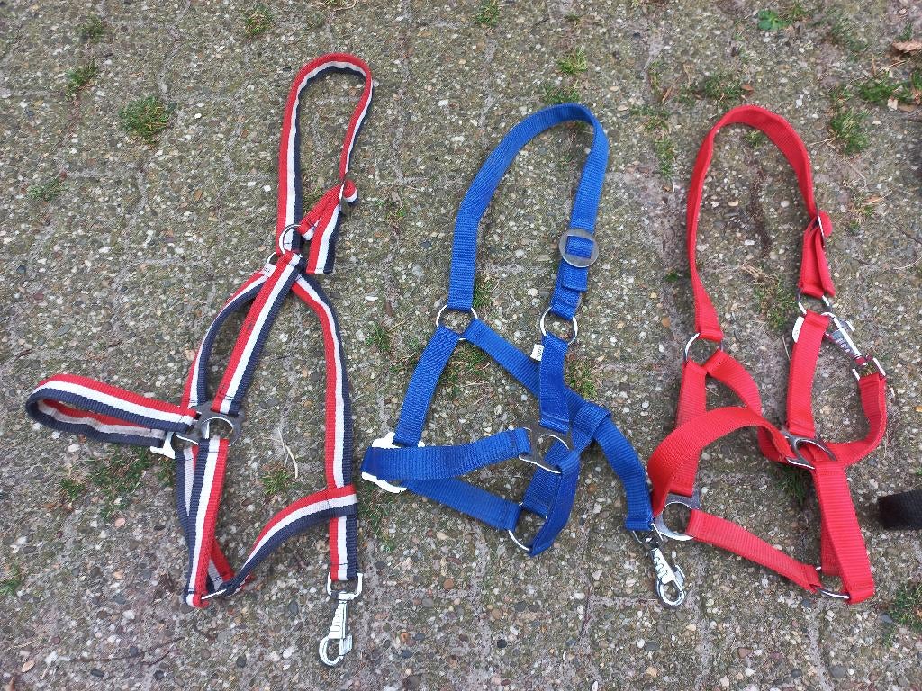 Nieuwe halsters diversen kleuren en maten, Ophalen, Nieuw, Dressuur