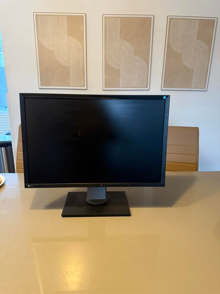 Eizo monitor, Computers en Software, Monitoren, Ophalen of Verzenden, Full HD, 60 Hz of minder, VGA
