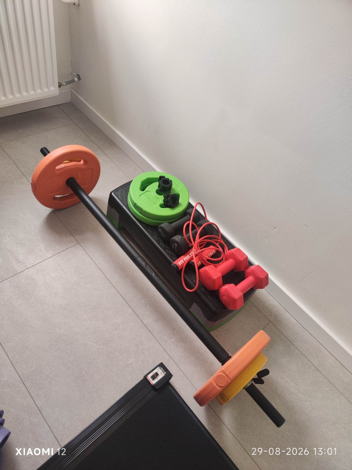 Fitness set: halterstang, halterschijven, dumbbels, stepbank, Ophalen, Gebruikt, Rug, Dumbbell