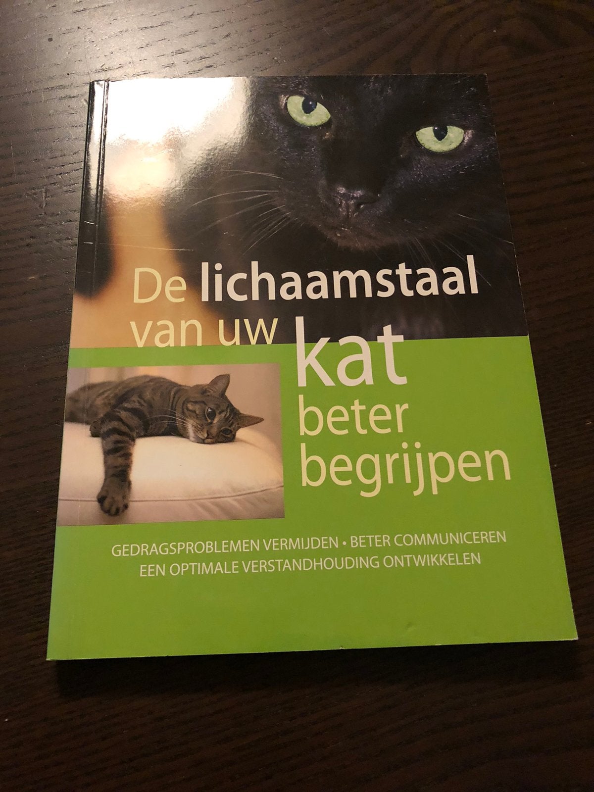De lichaamstaal van uw kat beter begrijpen, Ophalen of Verzenden, Gelezen, Katten